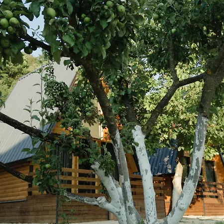 Domek alpejski The Wooden Village - By Nemercka *