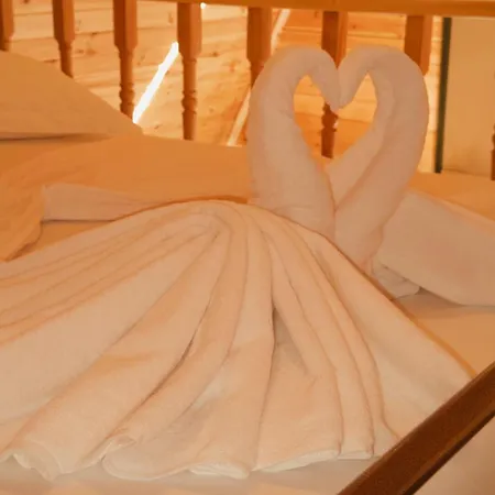 The Wooden Village - By Nemercka Domek alpejski