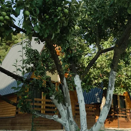 The Wooden Village - By Nemercka Domek alpejski